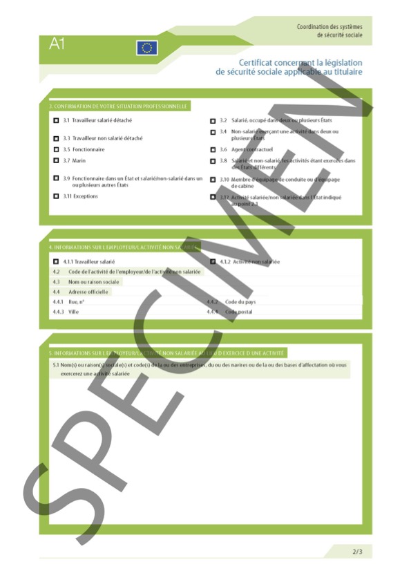 a1_specimen_2_3.jpg