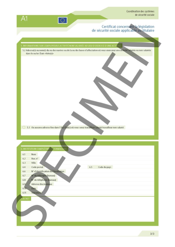 a1_specimen_3_3.jpg