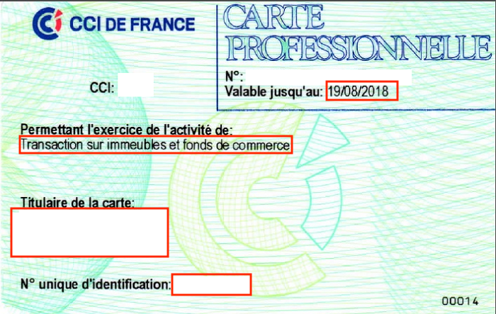 De_finition-de-la-carte-professionnelle-d_un-agent-immobilier-2.png